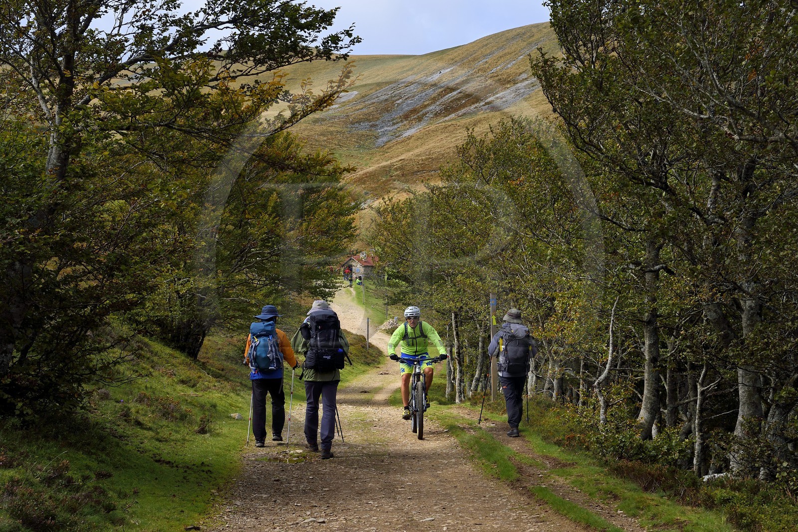 Espagne, Pays-Basque, Navarre, chemin de Saint-Jacques de Compostelle entre Saint-Jean-Pied-de-Port et Roncevaux, pèlerins au refuge Izandorre au col de Lepoeder