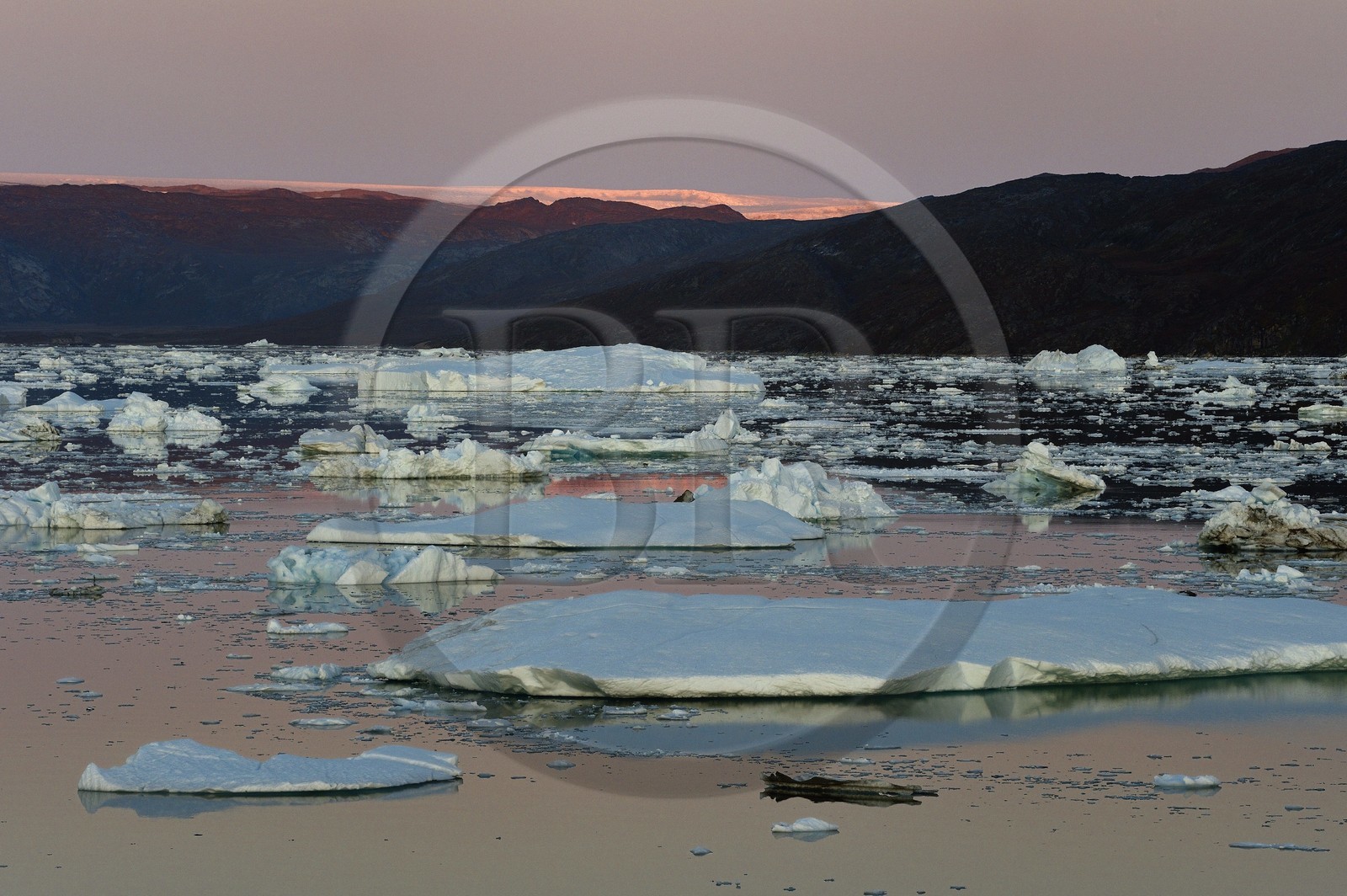 Groenland, cote ouest, baie de Disko, icebergs dans la baie de Quervain au coucher de soleil et la calotte glaciaire en arrière plan
