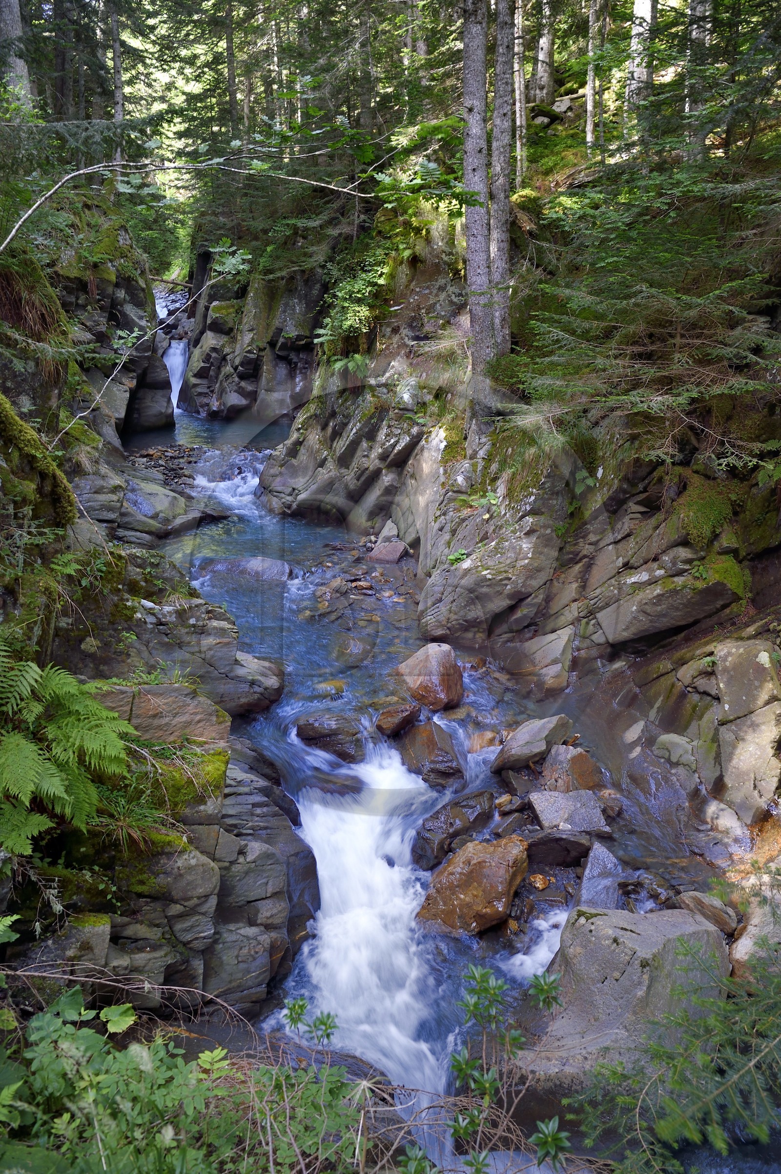 France, Hautes Pyrenees, Saint Lary Soulan, Rioumajou valley, the river Neste de Rioumajou