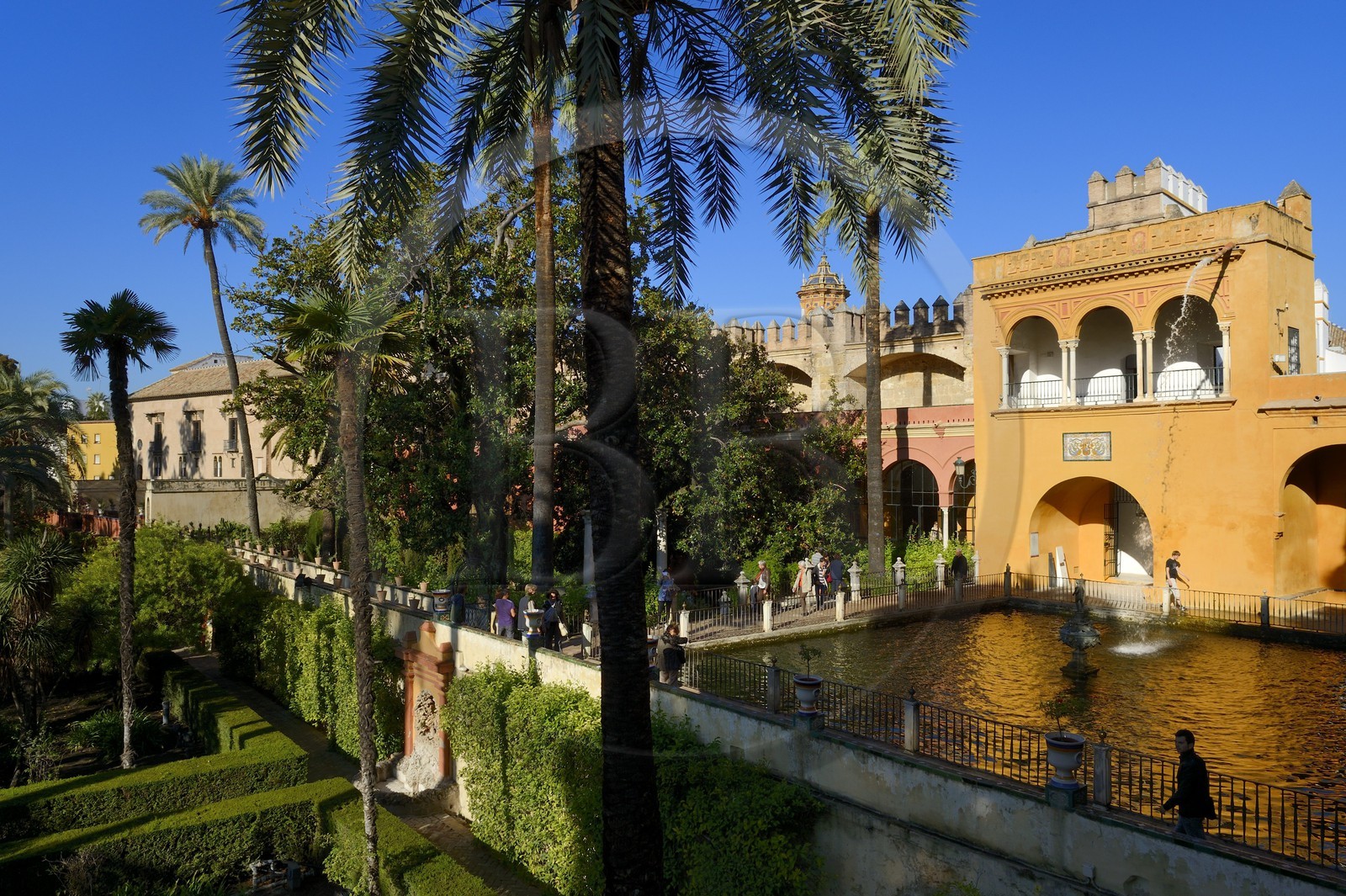 Espagne, Andalousie, Séville, Alcazar de Séville (Reales Alcazares de Sevilla), classé Patrimoine Mondial de l'UNESCO, les jardins et le Palacio Gotico, fontaine de Mercure