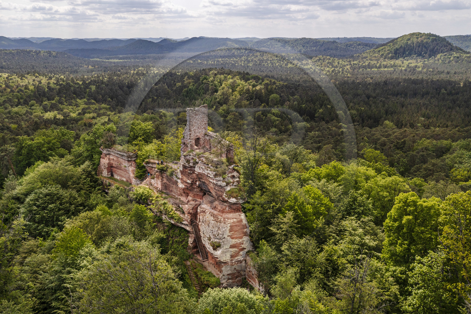 France, Bas-Rhin (67), Parc naturel régional des Vosges du Nord, Obersteinbach, foret domaniale de Steinbach, ruines du chateau de Lutzelhardt (vue aérienne)
