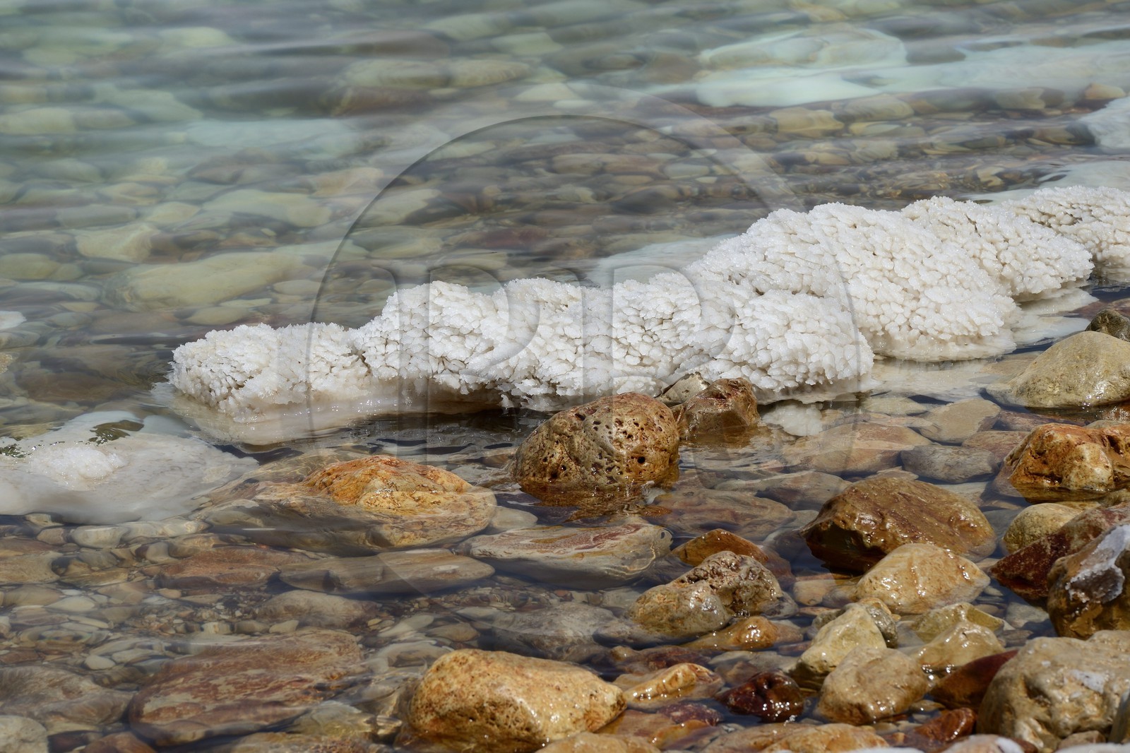 Israel, Southern District, Ein Gedi Beach on the Dead Sea, saline concretions