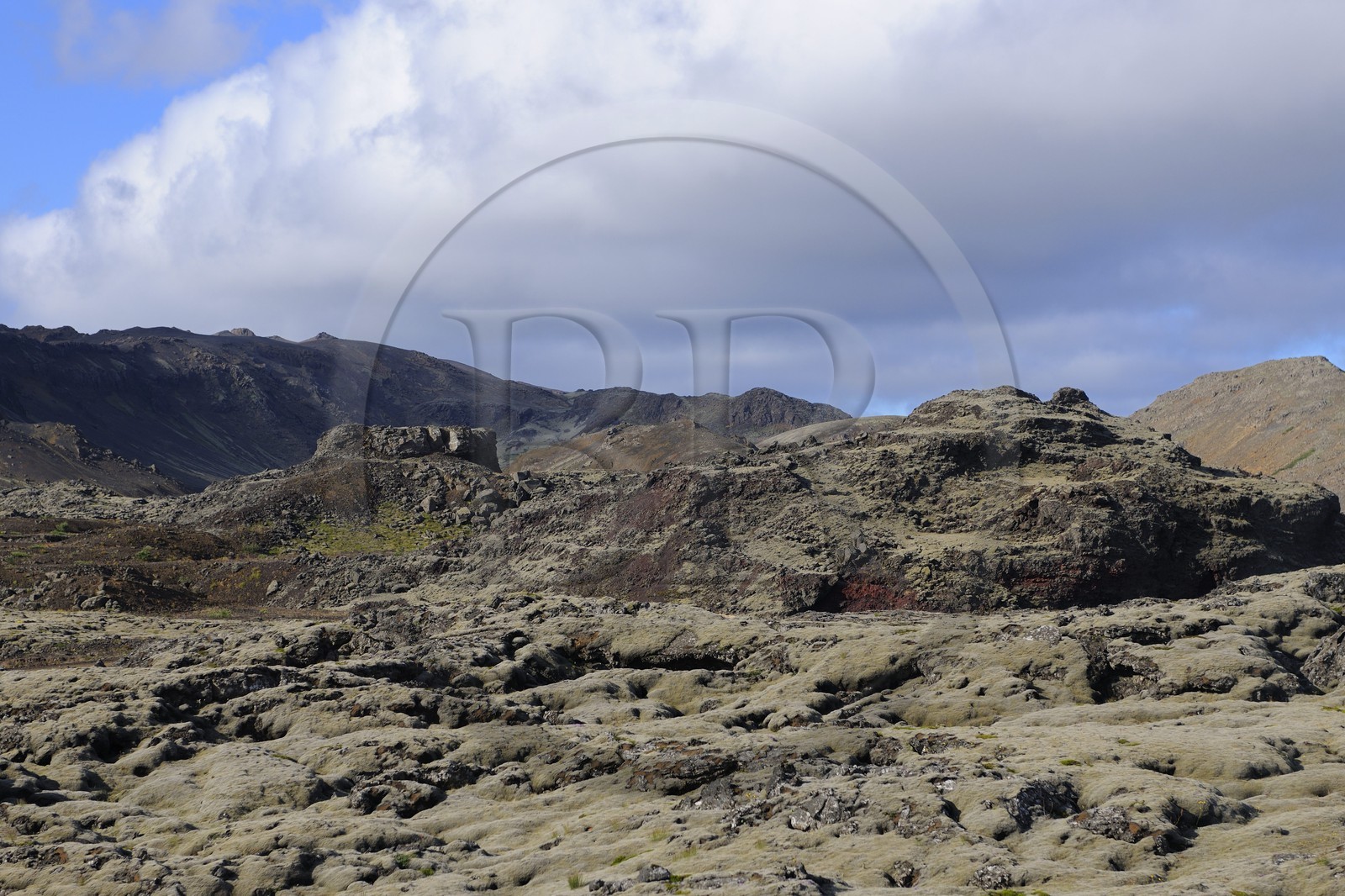 Iceland, Reykjavik area, lava fields covered with moss