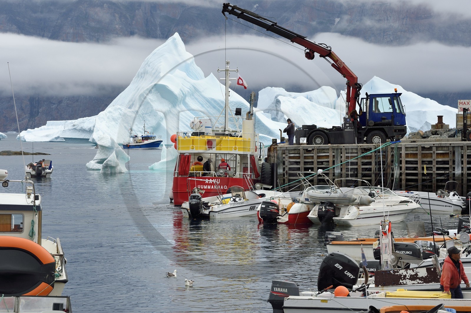 Groenland, cote ouest, Uummannaq, bateau de pêche déchargeant dans le port et icebergs en arrière plan