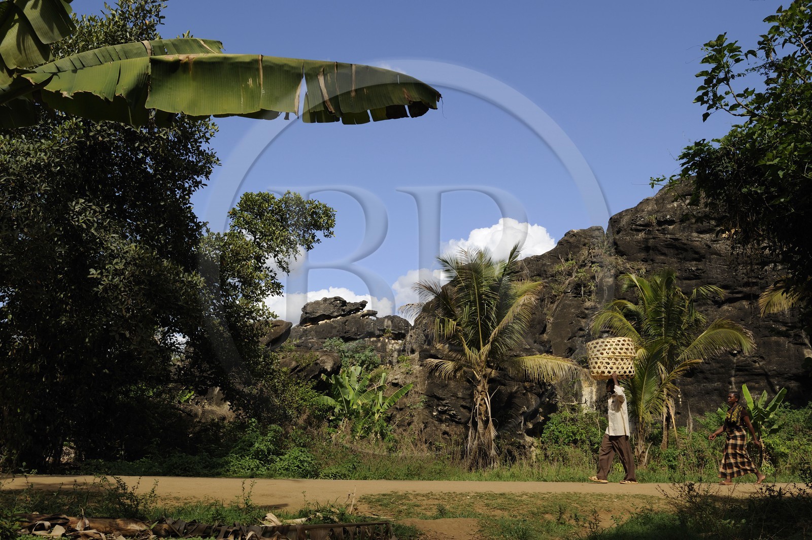 Tanzanie, région de Morogoro, les Monts Uluguru, la piste de Matombo