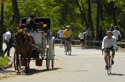 Etats-Unis, New York, Manhattan, Central Park, promenade en calèche