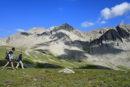 France, Alpes de Haute Provence, Uvernet Fours, Mercantour National Park, Ubaye valley, Cayolle pass (2326 m), hiking trail that climbs through the alpine lawn on the lake tour under the mountain top of the Eagle Hole