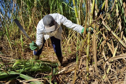 France, Ile de la Reunion, Petite-Ile,