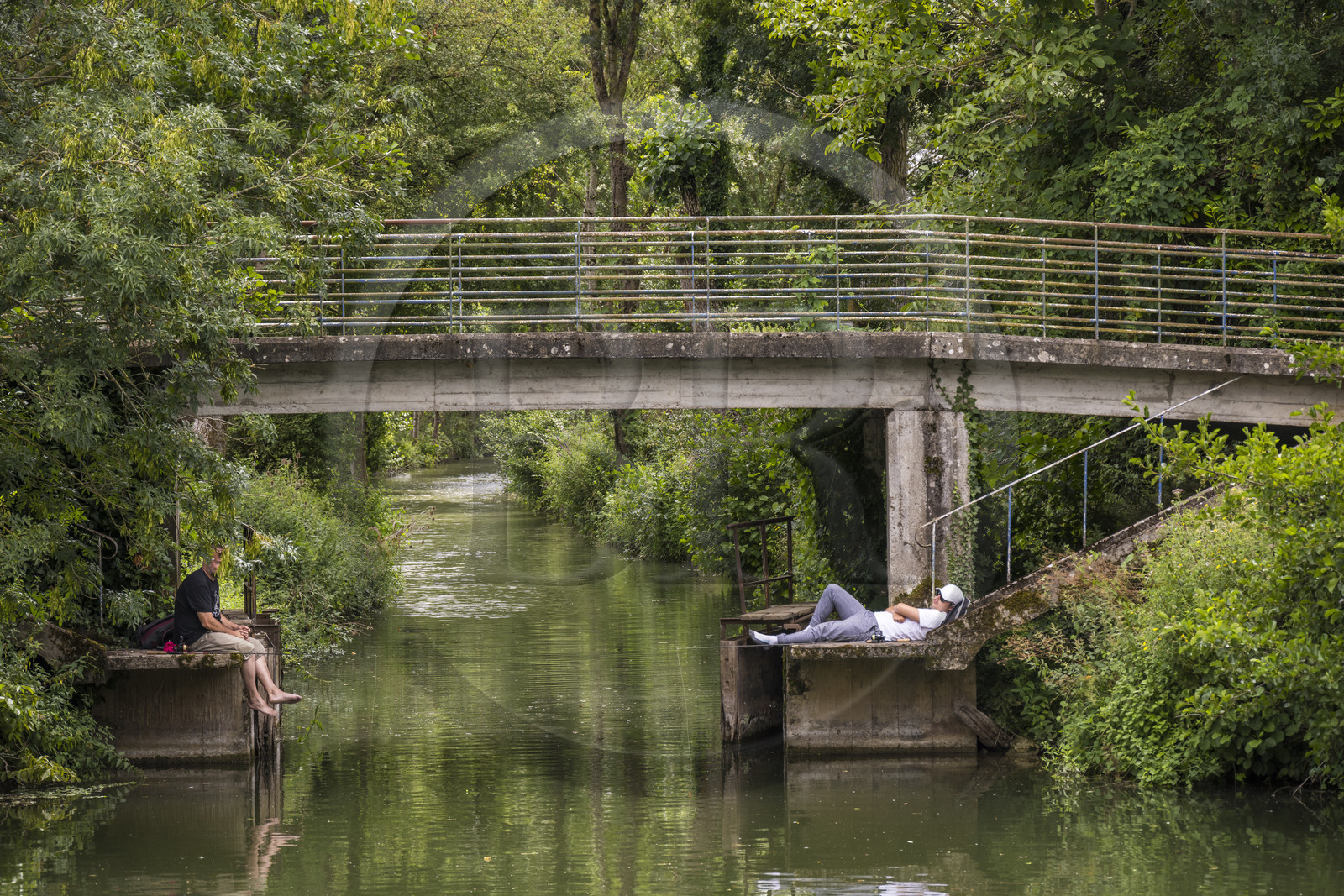 France, Deux-Sèvres, le Marais Poitevin, Green Venice Coulon, anglers along the Sevre Niortaise River banks