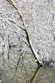 France, Val-de-Marne (94), les bords de Marne, Bry-sur-Marne,