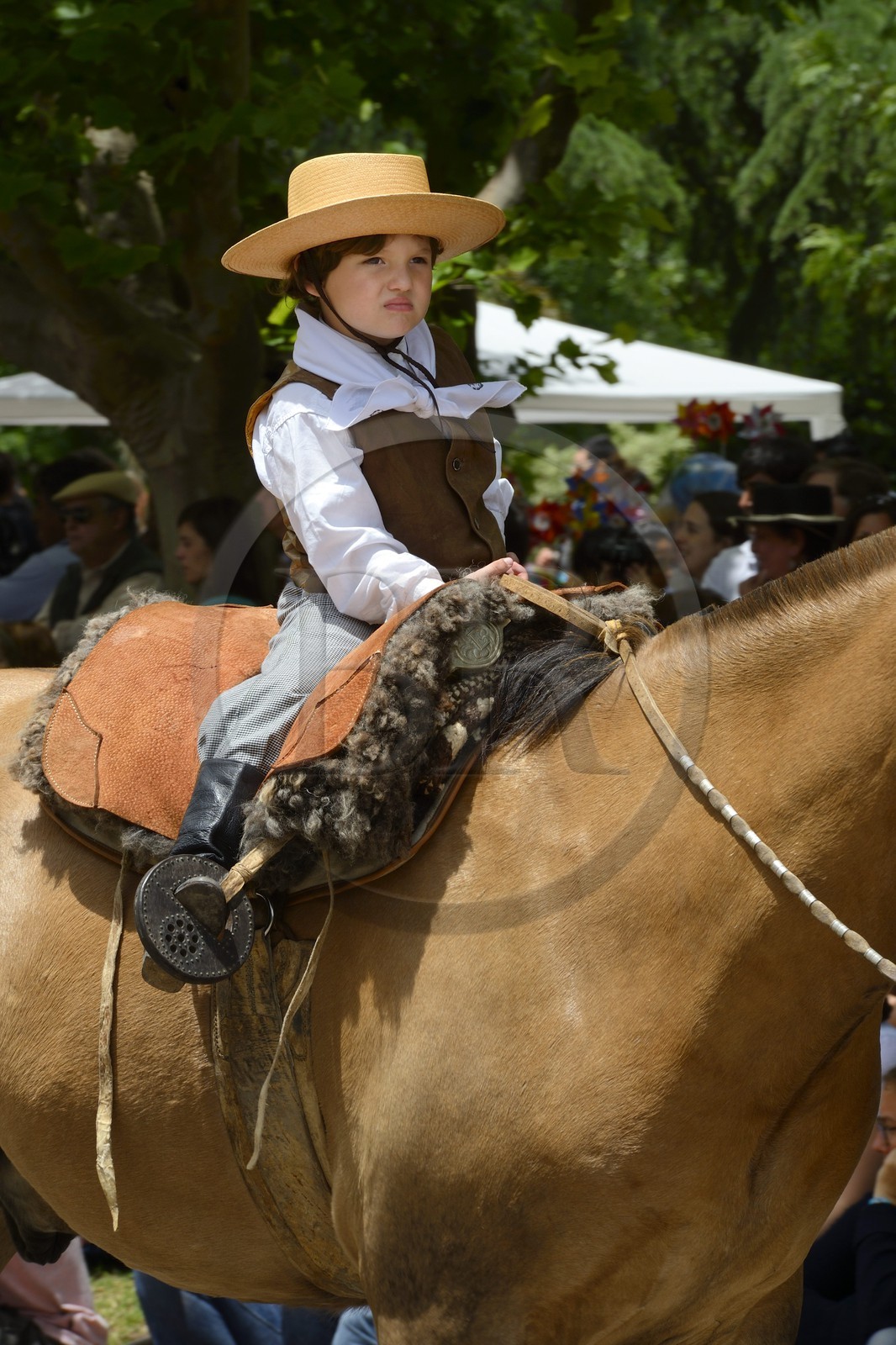 Argentina, Buenos Aires Province, San Antonio de Areco, Tradition Day festival (Dia de Tradicion), very young gaucho on horseback in traditional dress during the parade