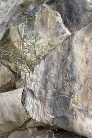 Azerbaïdjan, Gobustan, Parc national de Gobustan, Paysage culturel de l'art rupestre de Gobustan, gravures de taureaux au premier plan et de danseurs en arrière plan