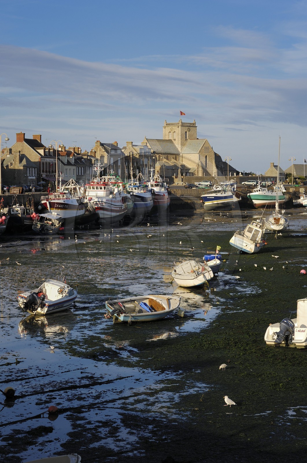 France, Manche (50), Val de Saire, port de Barfleur à marée basse, labellisé Les Plus Beaux Villages de France