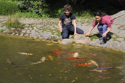 France, Hauts-de-Seine (92), Boulogne-Billancourt, le jardin japonais du musée départemental Albert-Kahn