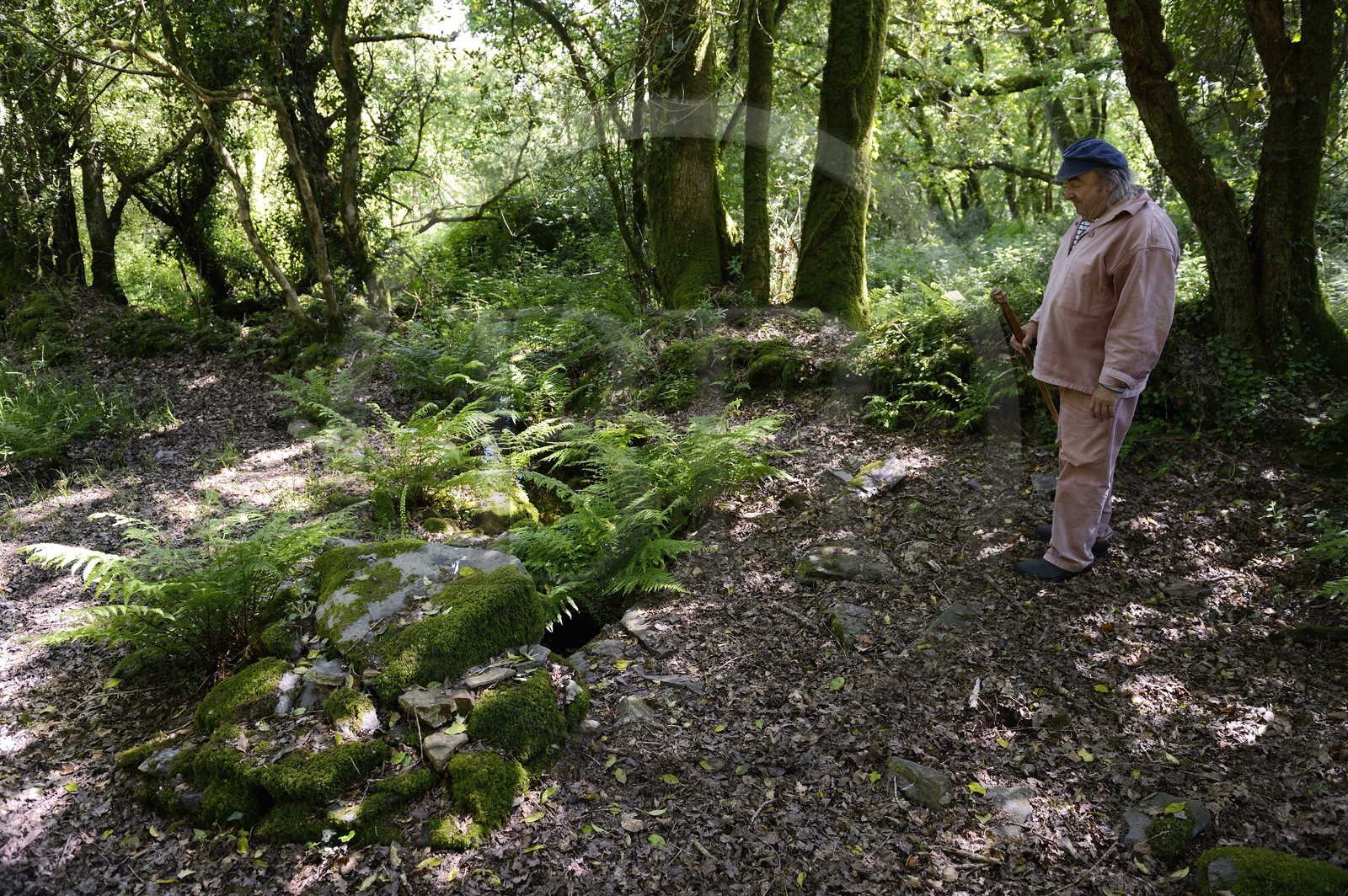France, Finistère (29), parc naturel régional d'Armorique, Monts d'Arrée, Brasparts, le conteur Claude Le Lann explique la mythologie locale, les phénomènes energétiques et la puissance tellurique de certains sites, comme ici devant une source druidique