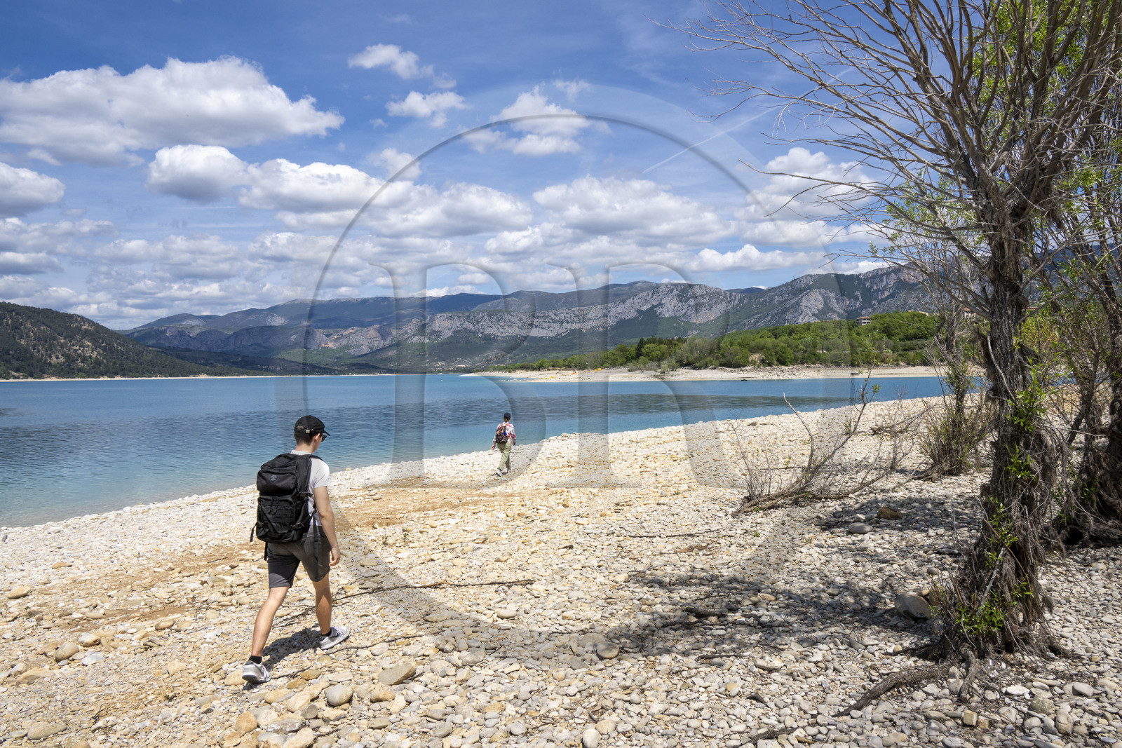 France, Var (83), Parc Naturel Régional du Verdon, Les-Salles-sur-Verdon, lac de Sainte Croix