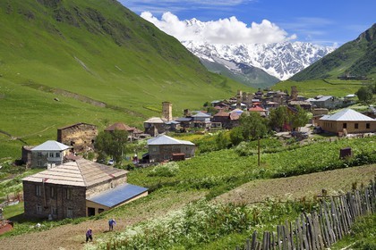 Géorgie, Haute Svanétie (Zemo Svaneti), village de Ushguli, classé Patrimoine Mondial de l'UNESCO, tours défensives Svanes dressées à coté des maisons et le mont Chkhara (plus haut sommet de Georgie avec 5 193 m) en arrière plan, deux fermiers labourent leur champ