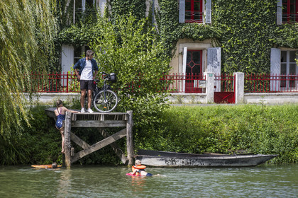 France, Deux-Sèvres, le Marais Poitevin, Green Venice, Le Mazeau, bicycle journey along the Sevre Niortaise River banks on the Vélo Francette cycle path