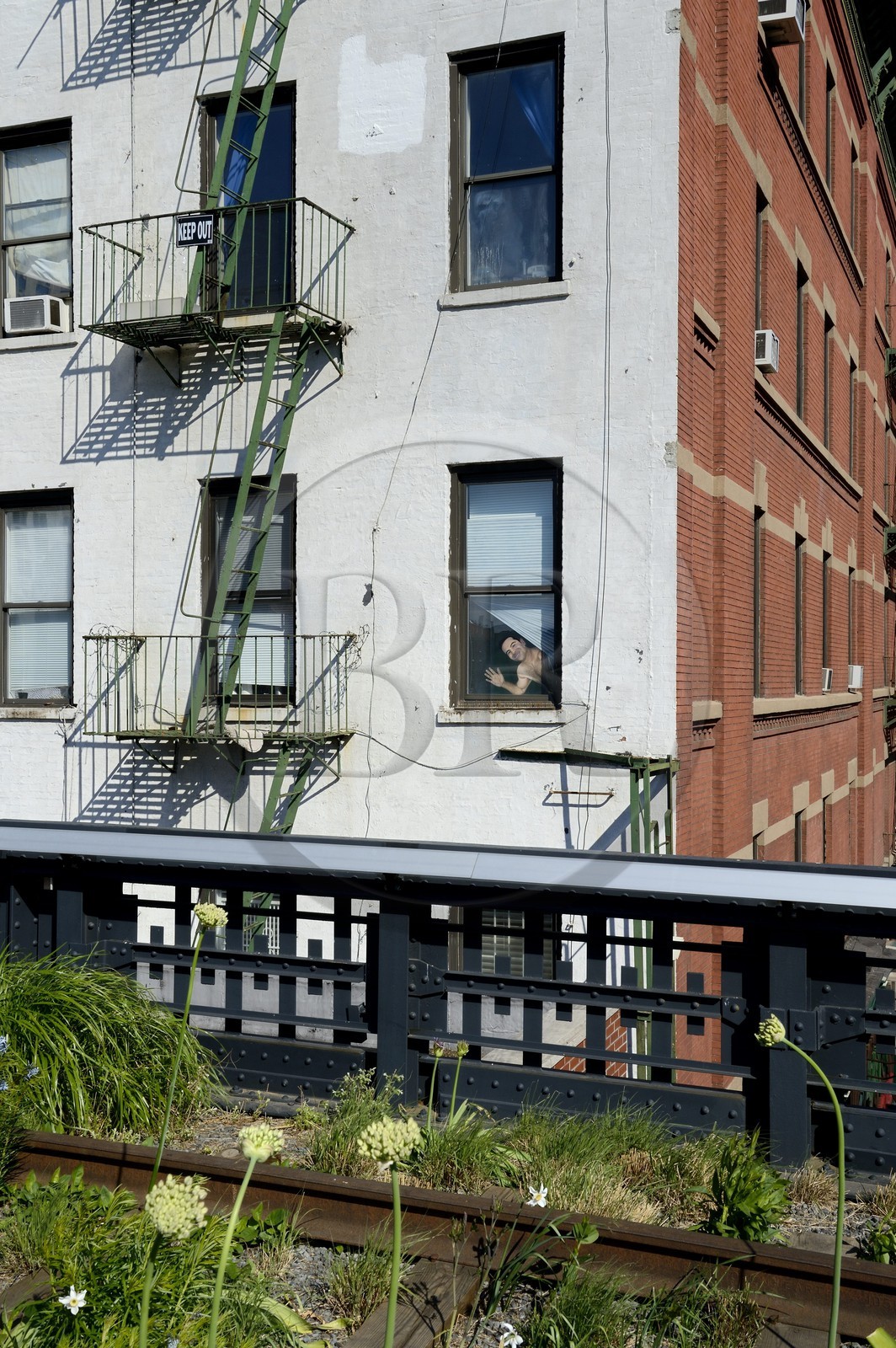 Etats-Unis, New York, Manhattan, Meatpacking district (Gansevoort Market), le High Line Park est une ancienne voie-ferrée aérienne partiellement réhabilitée en parc urbain suspendu