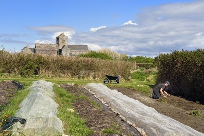 Royaume-Uni, Ecosse, Highland, Hébrides intérieures, Ile de Iona face à l'Ile de Mull, abbaye d'Iona fondée par Saint Columba au VIème siècle et le potager biologique de l'Argyll Hotel au premier plan