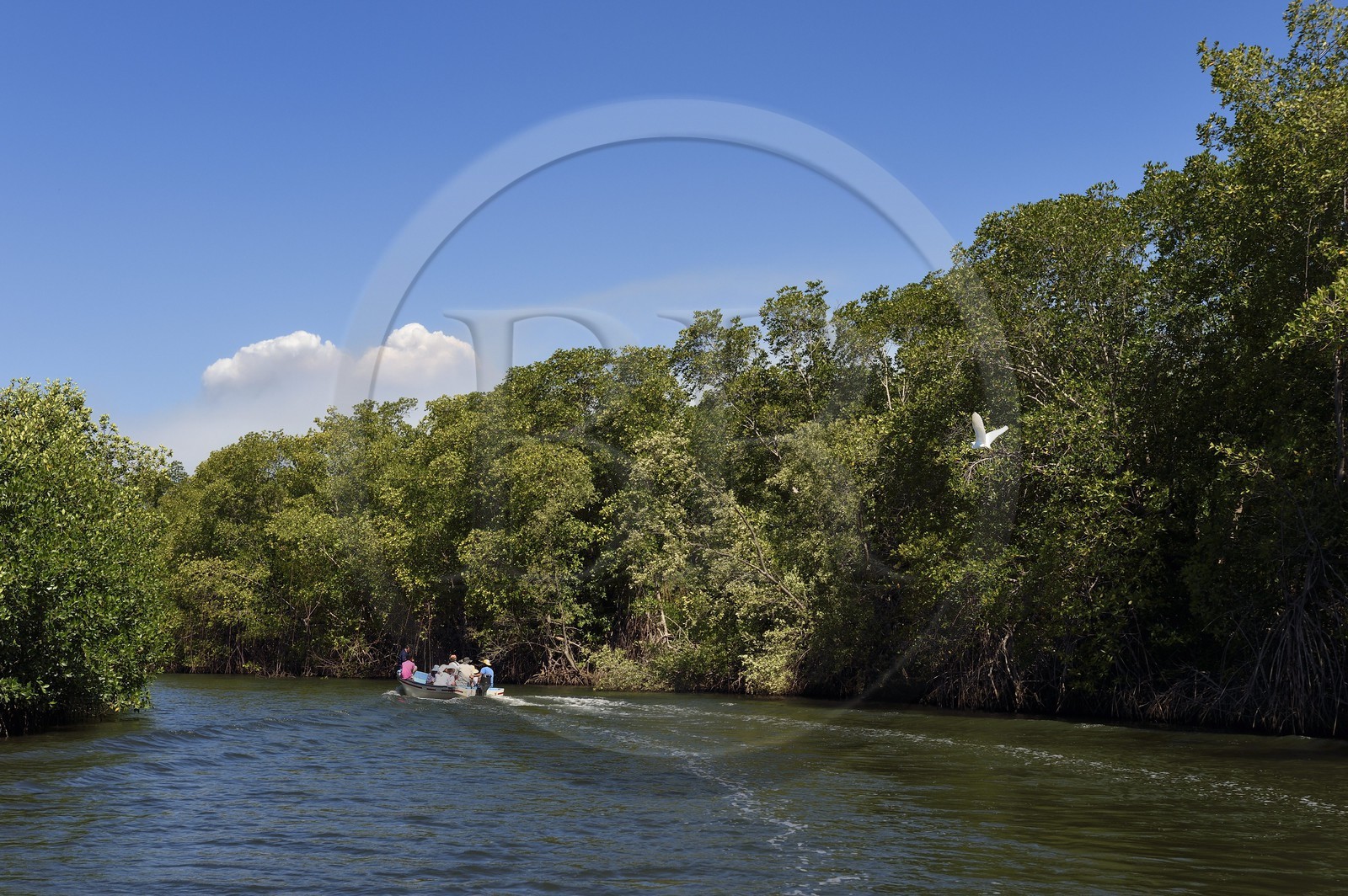 Nicaragua, la côte pacifique de Leon, découverte en bateau de la mangrove du parc national Isla Juan Venado