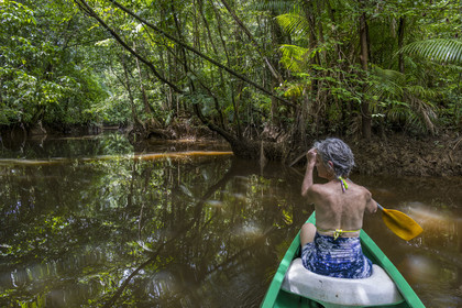 France, Guyane, Kourou, camp Maripas dans la forêt tropicale, découverte en canoé d'une crique, petite rivière, affluent du fleuve Kourou