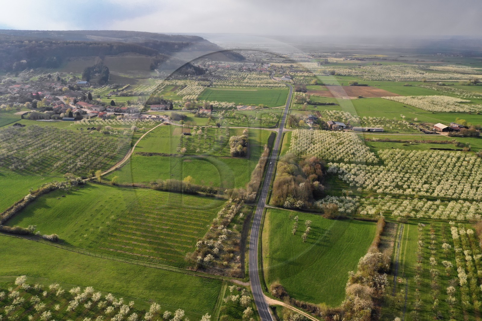 France, Meuse (55), Parc r