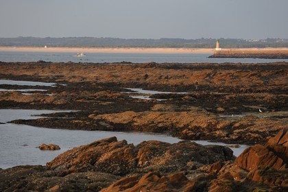 France, Loire-Atlantique (44), Le Croisic, la côte sauvage