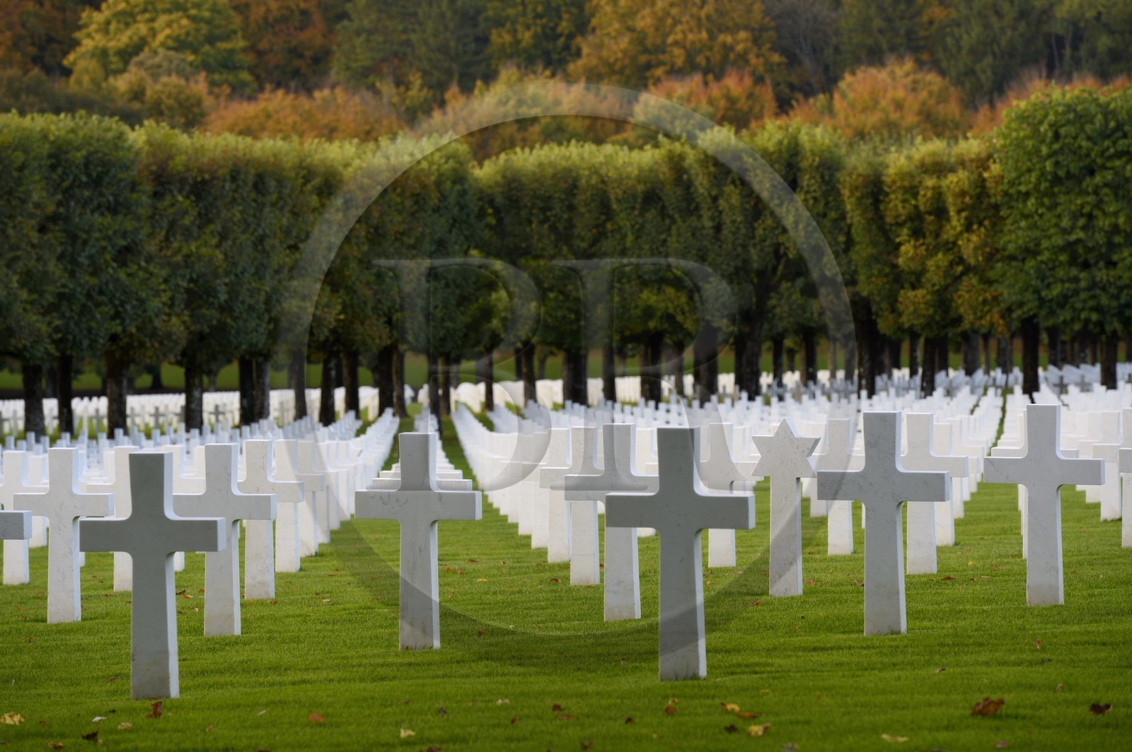France, Meuse (55), le cimetière américain de Romagne-sous-Montfaucon, 14 246 américains ayant combattu lors de la Première Guerre mondiale y sont enterrés