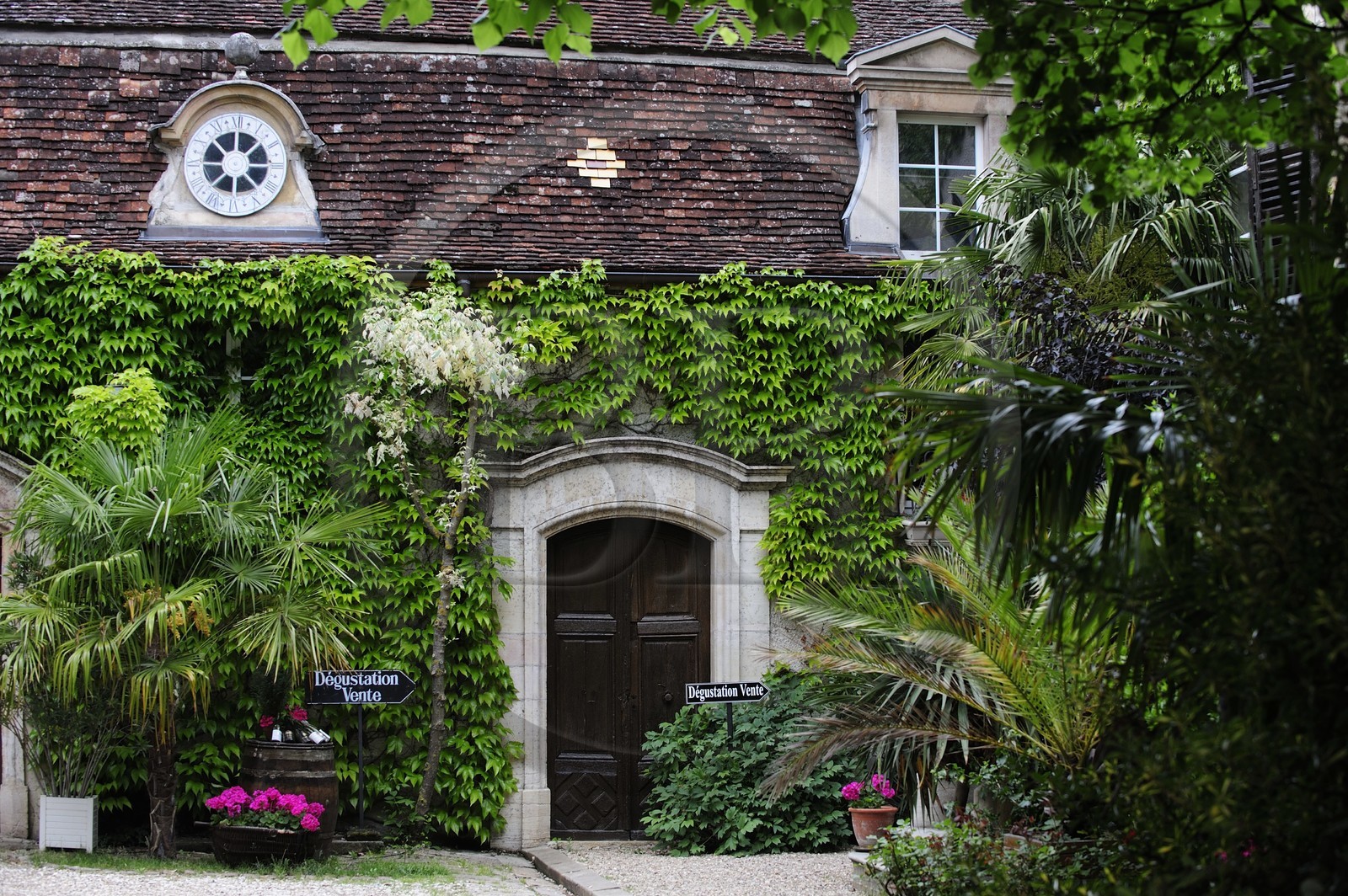 France, Côte d'Or (21), Gevrey-Chambertin, négociant en vin