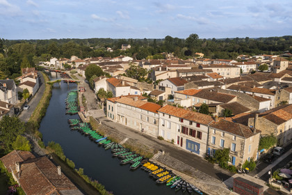 France, Deux-Sèvres (79), le Marais Poitevin, la Venise Verte, Coulon, labellisé Les Plus Beaux Villages de France, barques à fond plat sur les rives de la Sèvre Niortaise (vue aérienne)