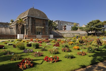 France, Loire-Atlantique (44), Nantes, le jardin des plantes