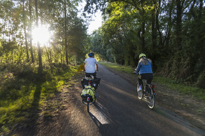 France, Maine-et-Loire (49), vallée de la Loire classée au Patrimoine Mondial par l'UNESCO, Saumur vers Saint-Hilaire, randonnée à bicyclette le long des berges de la Loire sur la piste cyclable La Loire à Vélo, vélo avec une remorque transportant le matériel de camping