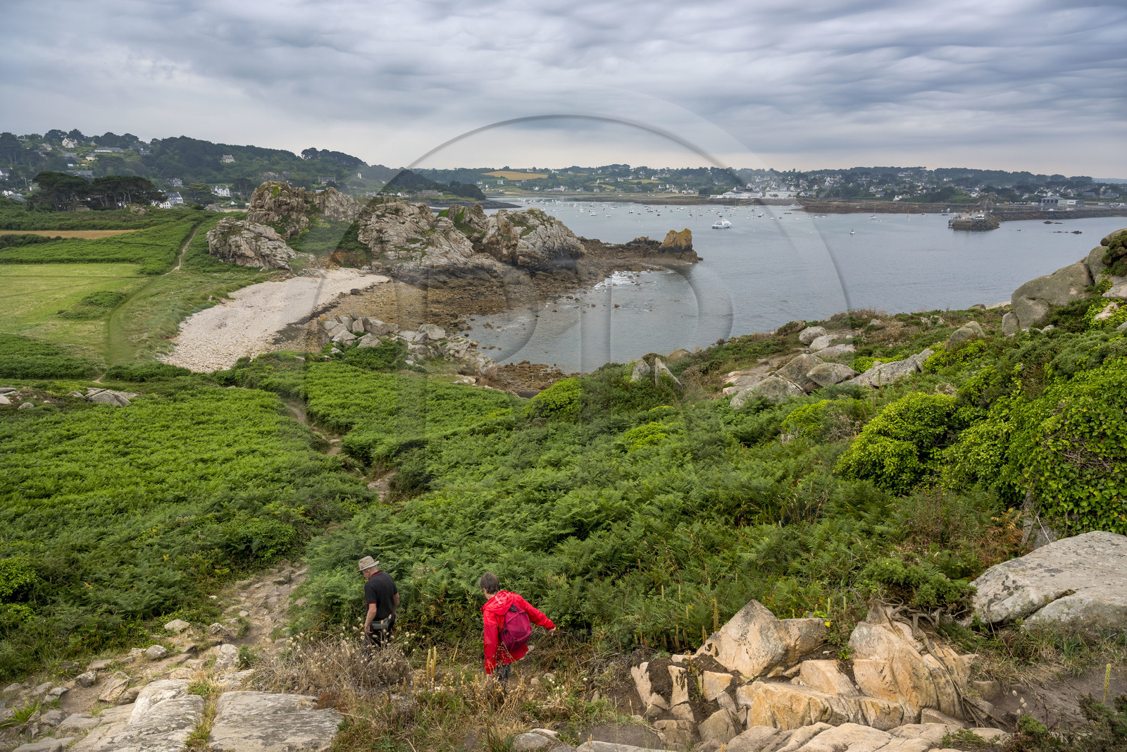 France, Finistère (29), Plougasnou, Primel-Trégastel, la Pointe de Primel à l'extrémité de la Baie de Morlaix, sur le GR 34