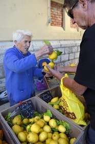 France, Alpes-Maritimes (06), Menton, marché couvert, halle municipale, la productrice Julie vend ses citrons de Menton