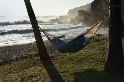 France, Reunion island (French overseas department), Petite-Ile on the southern coast, Grande Anse beach, hammock stretched between two palm trees