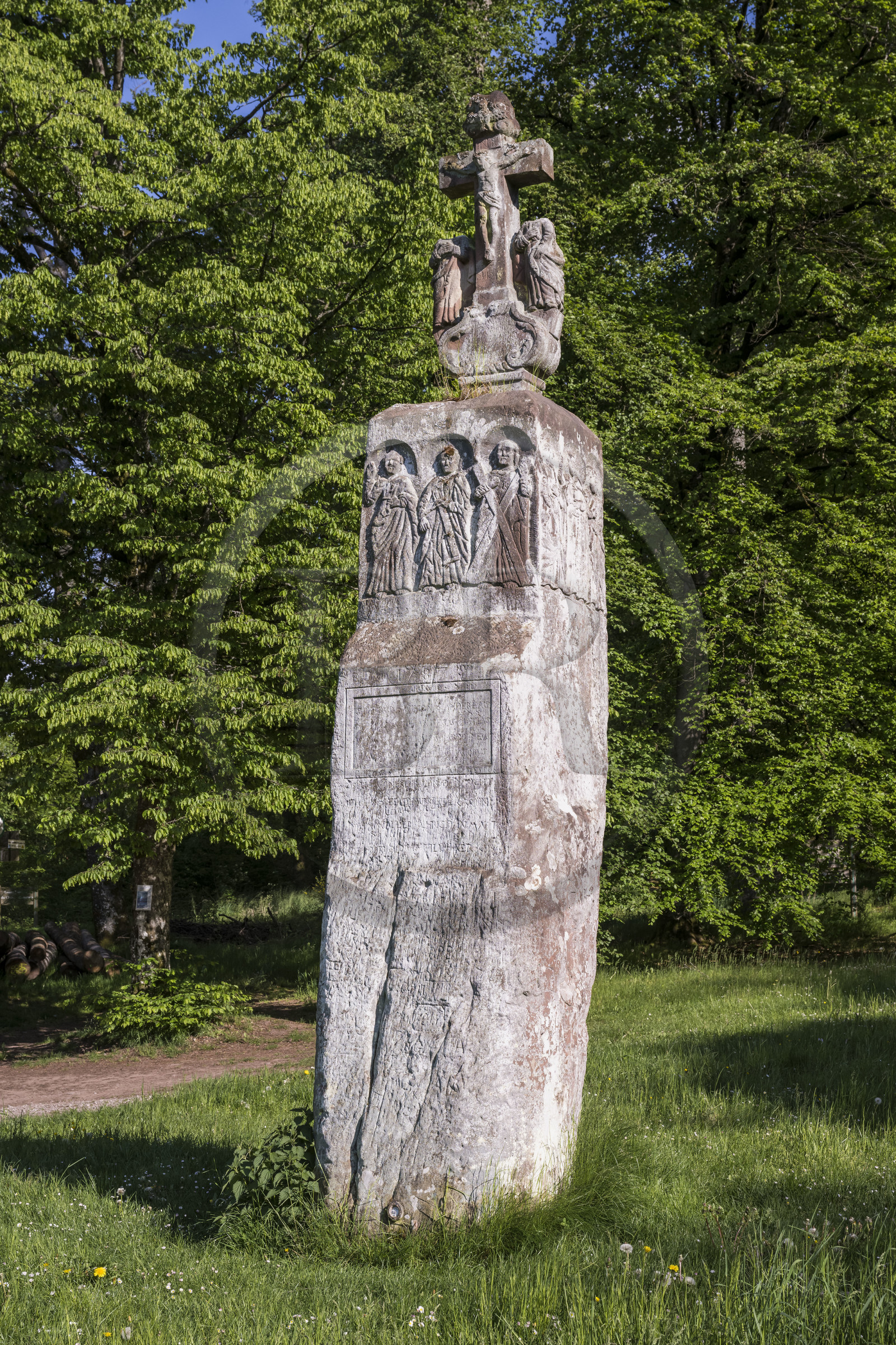 France, Moselle (57), Meisenthal, le Breitenstein (pierre large) aussi connu sous le nom de Pierre des 12 Apôtres qui fait référence aux représentations des douze Apotres gravées sur les quatre côtés du menhir de grès rouge d'une hauteur de quatre mètres quarante, probablement aussi depuis très longtemps une pierre frontière