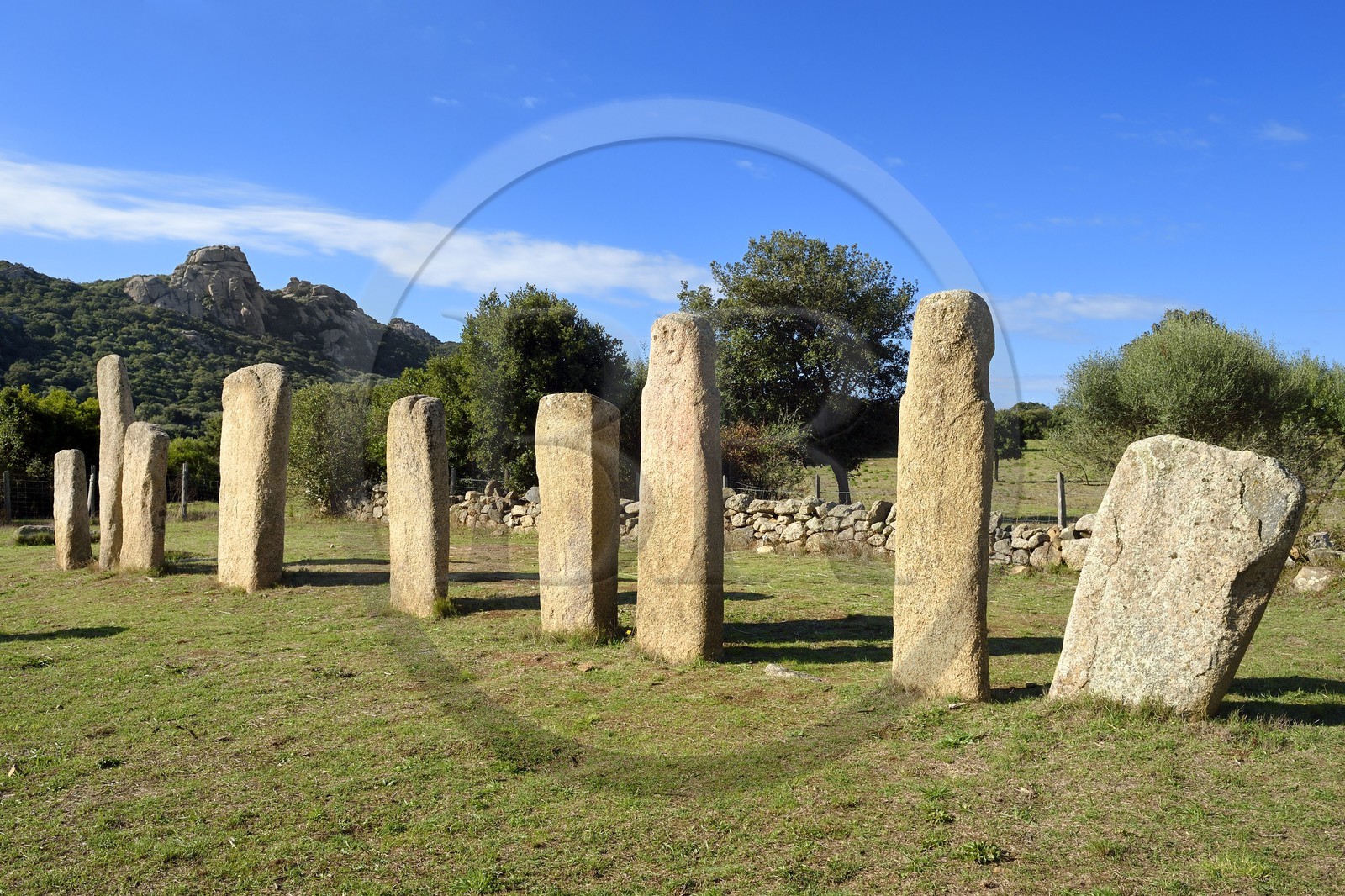 France, Corse-du-Sud (2A), Sartène, site archéologique de Cauria, alignement d'I Stantari, pierres dressées