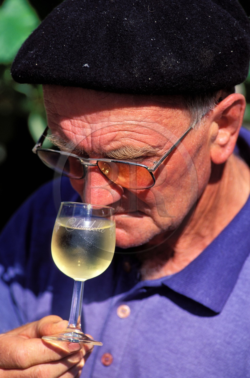 France, Gers, Saint Mont, Paimont wine producing cooperative, La Colombelle white wine tasting