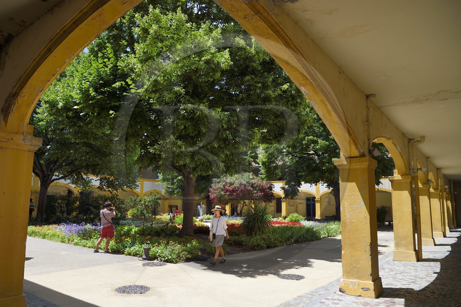 France, Bouches-du-Rhône (13), Arles, Espace Van Gogh, ancien Hotel Dieu