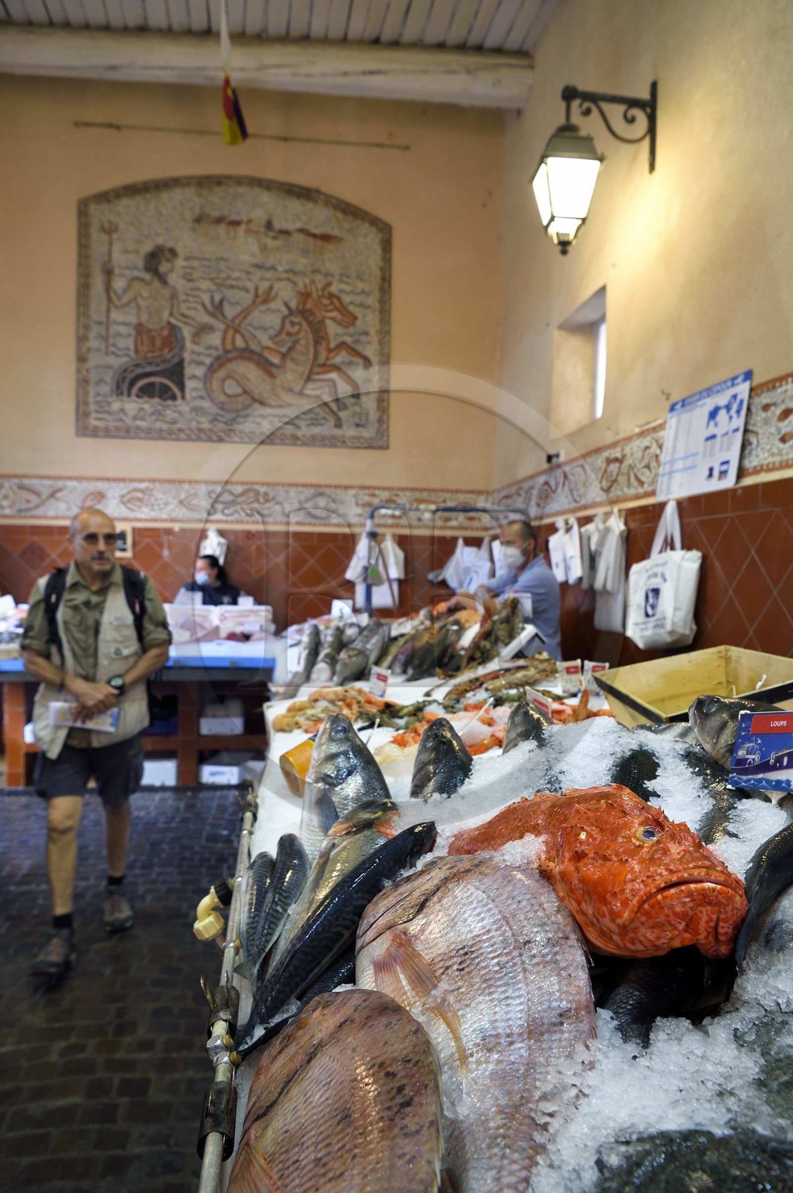 France, Var (83), Saint-Tropez, marché au poissons, rascasse sur l'étal