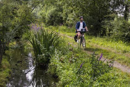 France, Deux-Sèvres (79), le Marais Poitevin, la Venise Verte, Le Vanneau-Irleau, randonnée à bicyclette le long des canaux