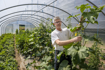 France, Ille et Vilaine, Cote d'Emeraude (Emerald Coast), Saint Malo, Saint-Meloir-des-Ondes, Malouiniere of Bardoulais, its owner Erwan Le Gouellec