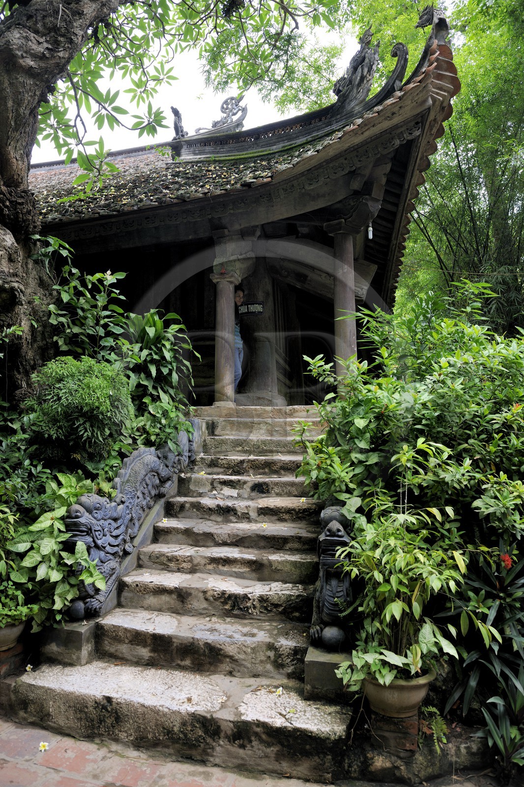 Vietnam, province de Ha Tay, pagode Thay ou pagode du Maître