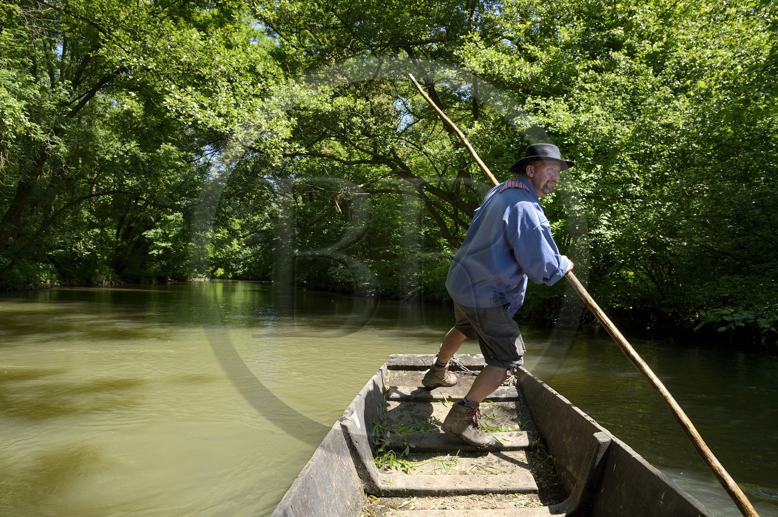 France, Bas-Rhin (67), région d'Ebersmunster et Muttersholtz, le Grand Ried, le batelier Patrick Unterstock dans une barque à fond plat en bois sur la rivière l'Ill