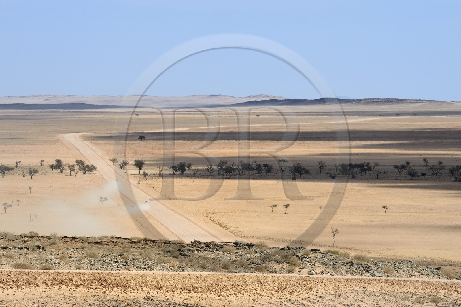 Namibia, Erongo region, Namib Naukluft National Park, Namib Desert, C14 gravel road in the Namib desert and linear oasis in the background