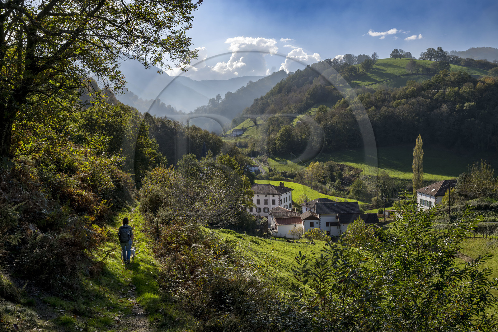 France, Pyrénées-Atlantiques (64), Pays-Basque, vallée des Aldudes, randonneur sur un sentier menant au village d'Urepel