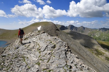 France, Alpes de Haute Provence, Uvernet Fours, Mercantour National Park, Ubaye valley, lake tour hiking trail of the Cayolle pass at the Pas du Lausson, Allos lake cirque