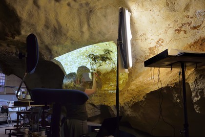 France, Dordogne, Montignac, the Atelier des Fac-Similés du Périgord (Perigord's Facsimile Workshop AFSP) specialised in mineral reproduction of prehistoric painted walls using “stone veil” patented technique and in charge of the Lascaux cave’s walls faithfull reconstitution, reproductions of the paintings by the painter-copyist Beth O’Reilly, compulsory mention Atelier des Fac-Similés du Perigord