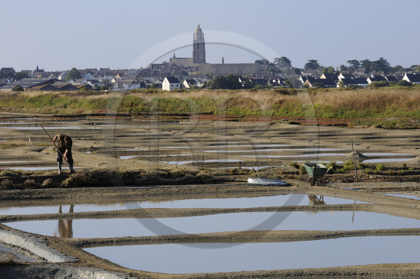 France, Loire-Atlantique (44), la Presqu'île de Guérande, les marais salants à Batz-sur-Mer